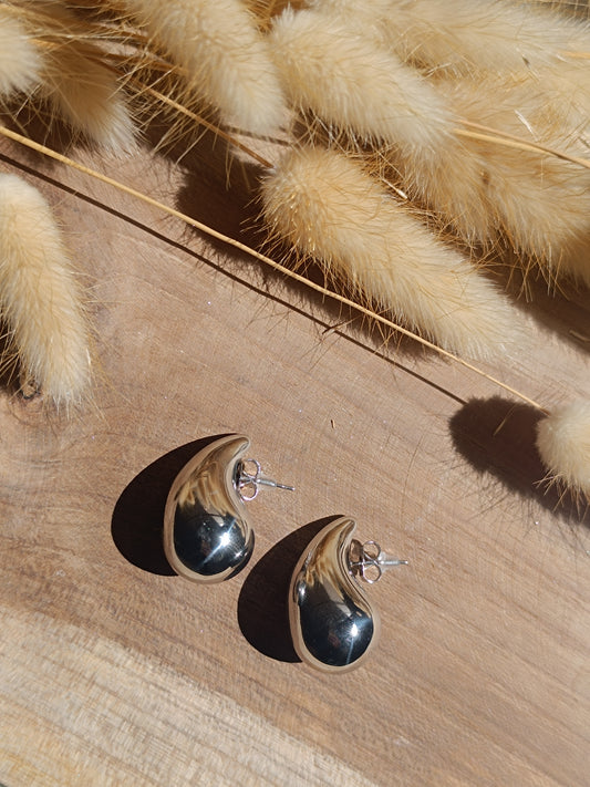 Boucles d'oreilles Soana silver